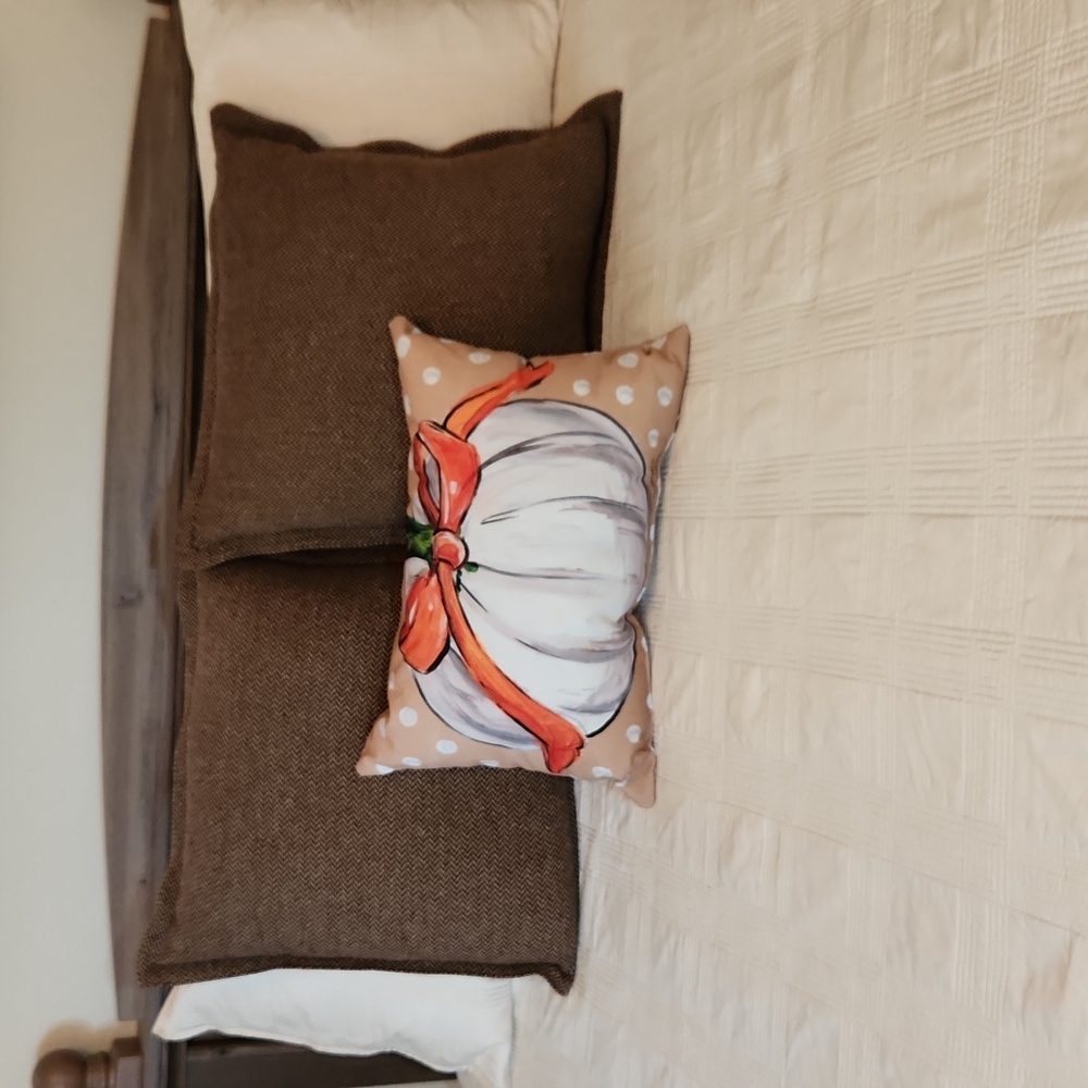 Decorative Seasonal Pillow - Timree - Picture 6 of 9